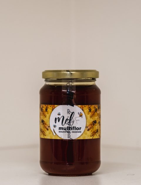 Mel Multiflor Resende médio